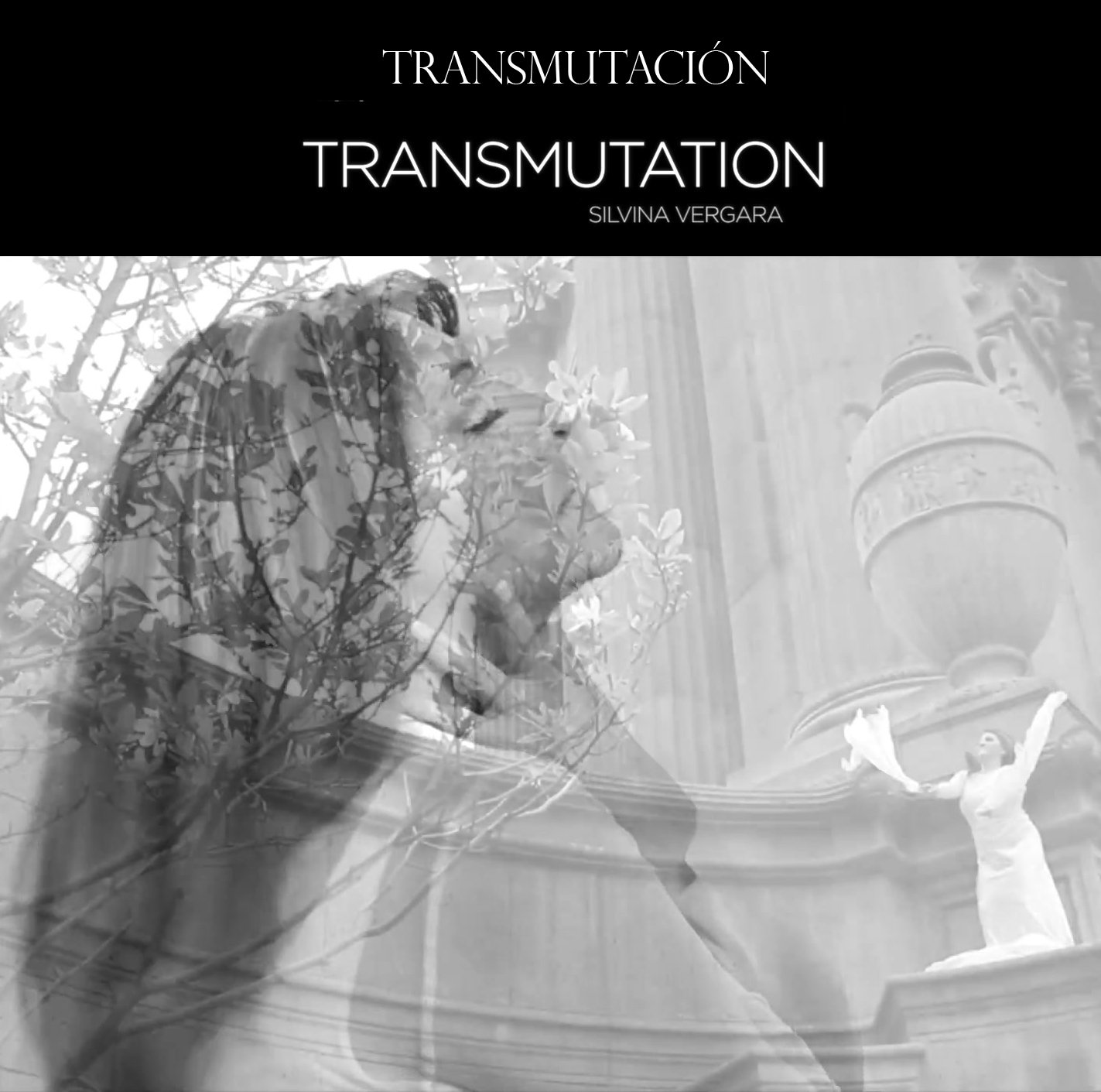 Portada de la obra Transmutation, de Silvina Vergara
